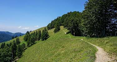 Toggenburger Höhenweg Etappe 5 Wanderweg