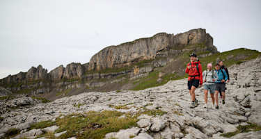 Vier Wanderer spazieren über ein Karstplateau, im Hintergrund ein formschöner Berg.