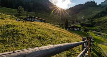 Farnböden Alm, Hochfelln