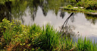 Wunderschöne Landschaft