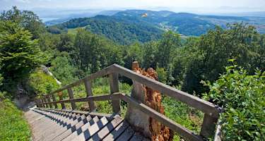 Wanderweg am Üetliberg