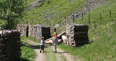 Auf dem Wasserfallsteig bei Brandenberg