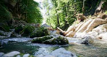 Die Engenlochschlucht in Hittisau