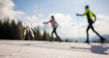 Loipeneinstieg Kummerbauerstadl