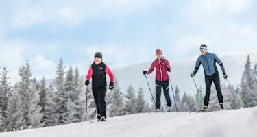 Die Nordic Arena eignet sich perfekt für Anfänger und Einsteiger