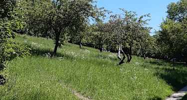 Am Weg zur Jubiläumswarte