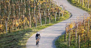 Weinlandhof Rennradtour Südsteiermark