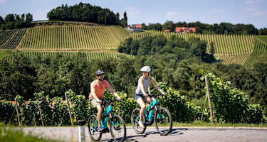 Weinstraßenausfahrt - Panoramaradweg Südsteirische Weinstraße