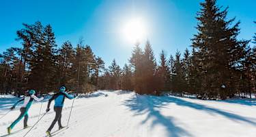 Weissach Loipe Fieberbrunn