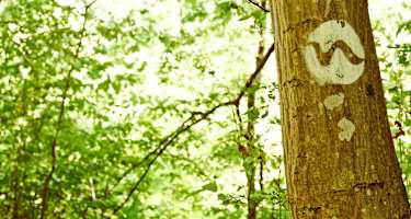 Wandern am Weitwanderweg Nibelungengau