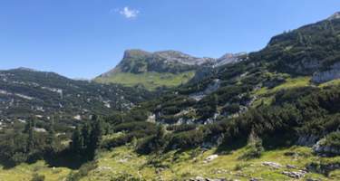 Welser Höhenweg: Der weitere Weg zum Albert-Appel-Haus präsentiert sich wesentlich grüner.