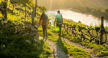 Welterbesteig Wachau - Etappe 2: Weissenkirchen