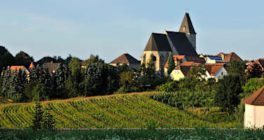 Welterbesteig Wachau - Etappe&nbsp;6: Maria Laach