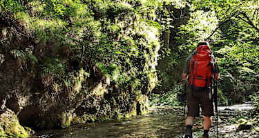 In der Falkenschlucht