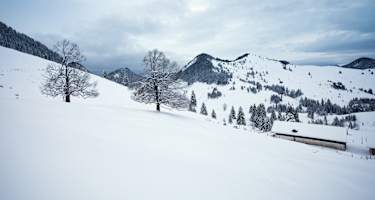 Bei bewölktem Himmel bleibt der Schnee an den Südhängen der Jackelberger Alm länger pulvrig.