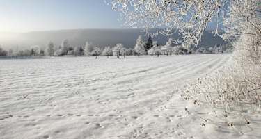 Winterlandschaft