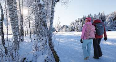 Winterwandern in der Region Seefeld
