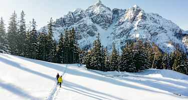 Im Angesicht der Serles - Winterwanderung Waldraster Jöchl