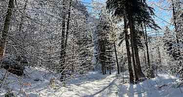 Winterwanderweg Garsella-Buchboden