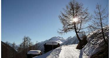 Winterwanderweg Lauchernalp - Kippel