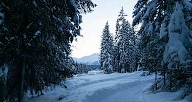 Winterwanderung um den Gschwandkopf