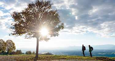 Blick vom Hohenpeißenberg auf die bayerische Alpenkette
