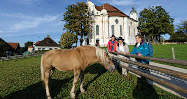 An der Wieskirche geht es vorbei nach Steingaden