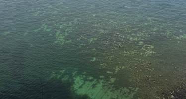 Weiter Blick hinaus auf das Meer mit Segelboot von der Ostküste im Norden Rügens