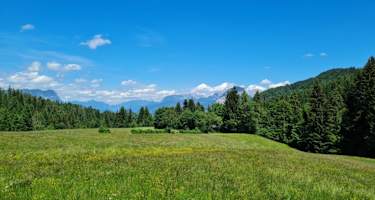 Der Zauberwinkelweg verzaubert auf weitern Strecken.