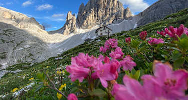 Die Zsigmondyhütte und der Zwöflerkogel