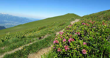 Das Bild täuscht - auf der anderen Seite des Hohen Freschen geht es steil bergab