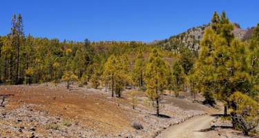 Wanderweg am Paisaje Lunar