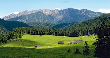 Blick auf das Sonnwendjoch und die Almwiesen der Valepp