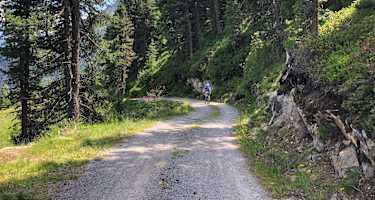 Auf dem Weg zur Stabele Alm, auch mit dem Bike gut machbar