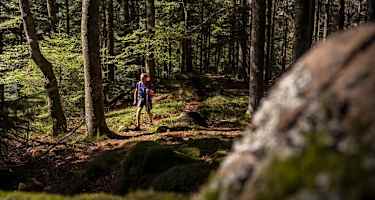 Zweitälersteig Etappe 3