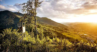 Zweitälersteig Etappe 4