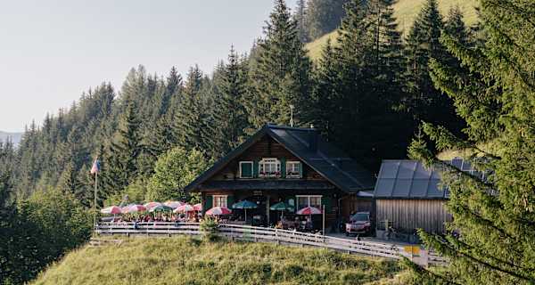 Berghütte inmitten grüner Wiesen, umringt von Nadelwäldern