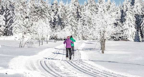 Rennsteig Thüringer Wald Langlaufen