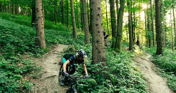 Mountainbiker in Niederösterreich im Wald bei St. Pölten