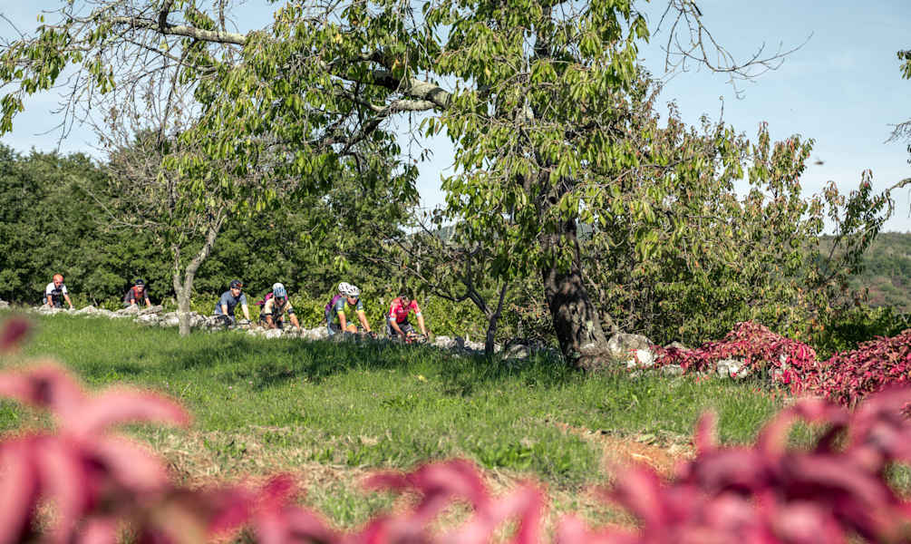 Istria300 Sonny Colbrelli