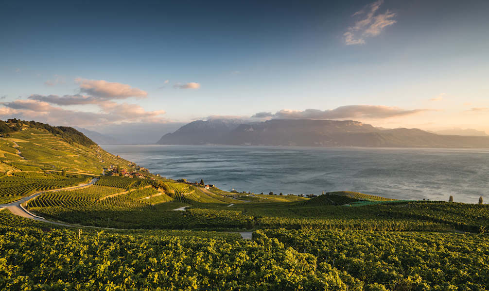 Unesco Lavaux Genfersee