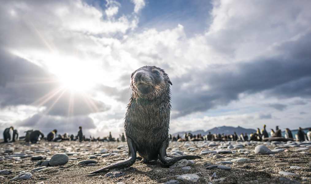 Polarmeer Fotostrecke