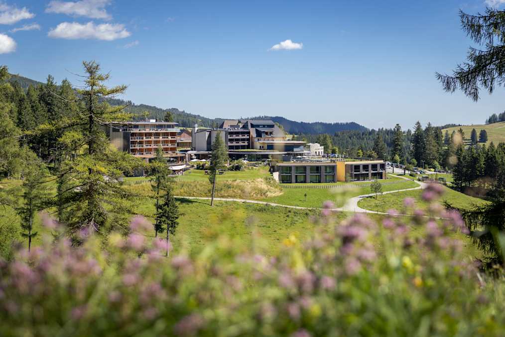 Almwellness Hotel Pierer