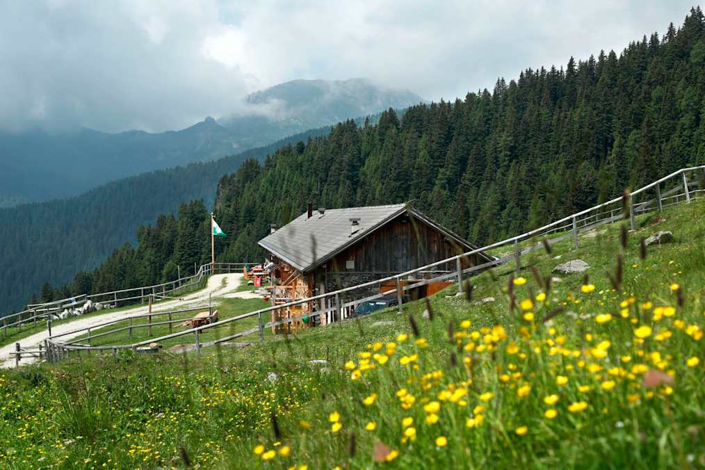 Rifugio Malga Conseria in der Val Campelle