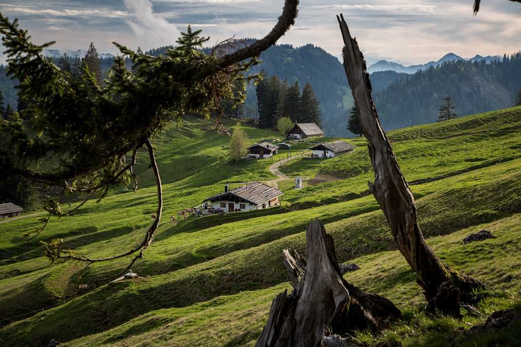 Die Haaralm besteht aus mehreren Almhütten.