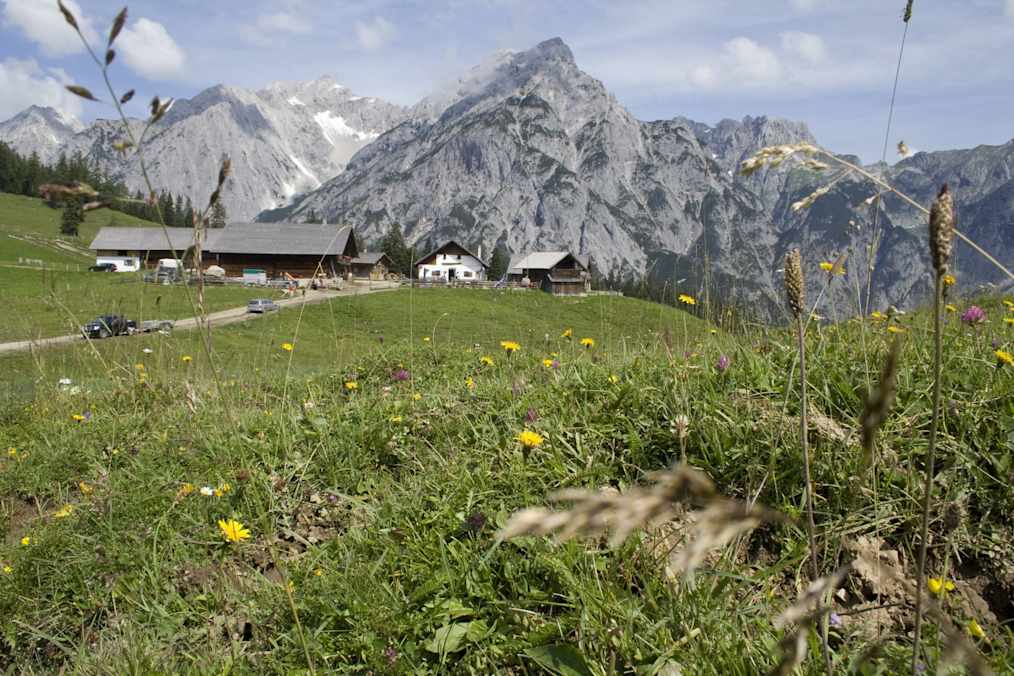 Die Walderalm liegt in wunderschöner Aussichtslage oberhalb von Gnadenwald.