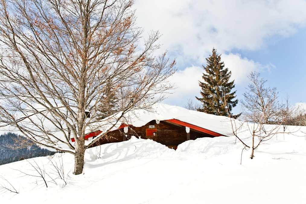 Die Winkelmoosalm-Hütte steht, wie auch die Winklmooshütte, auf der Winkelmoosalm, idyllisch in den Chiemgauer Bergen an der deutsch-österreichischen Grenze in Bayern. 