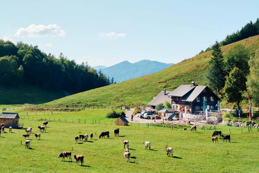 Die Buchberghütte liegt im salzburgerischen St. Gilgen am Wolfgangsee.