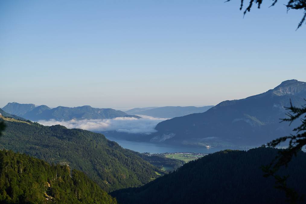 Blick auf Wolfgangsee