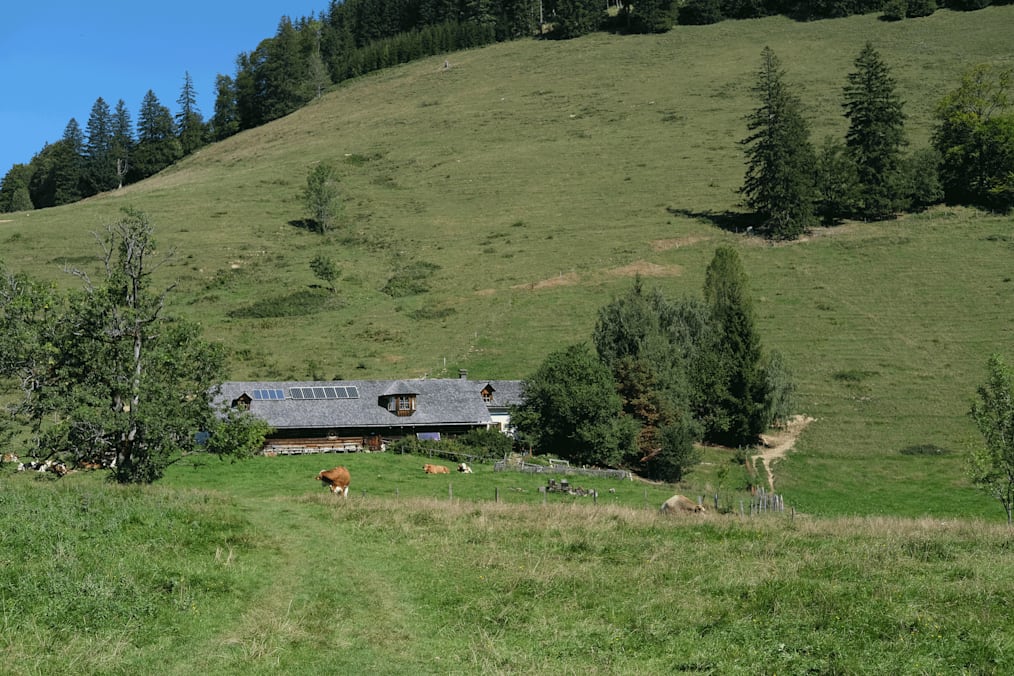 Die urige Gschwendtalm befindet sich unterhalb des Gamssteins.